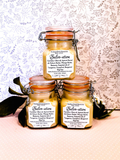 Salve-ation super powered moisturizing balm